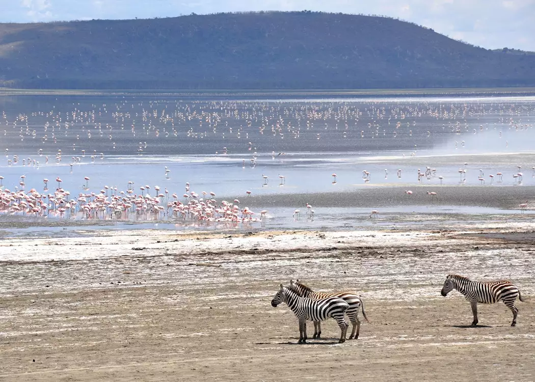 East Africa's Great Rift Valley Lakes